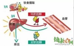 降胆固醇：请收下这份饮食指南